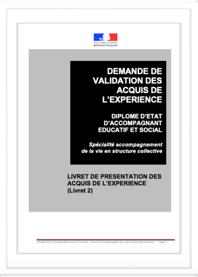 Livret Vae Deaes Dipl Me D Etat Accompagnant Educatif Et Social Ref